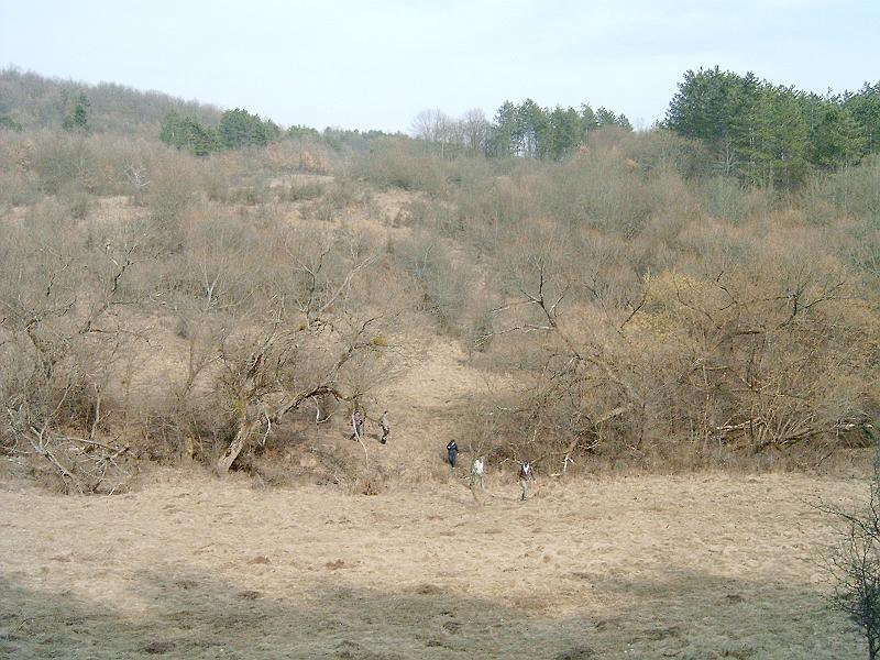 2010.03.20 050.jpg